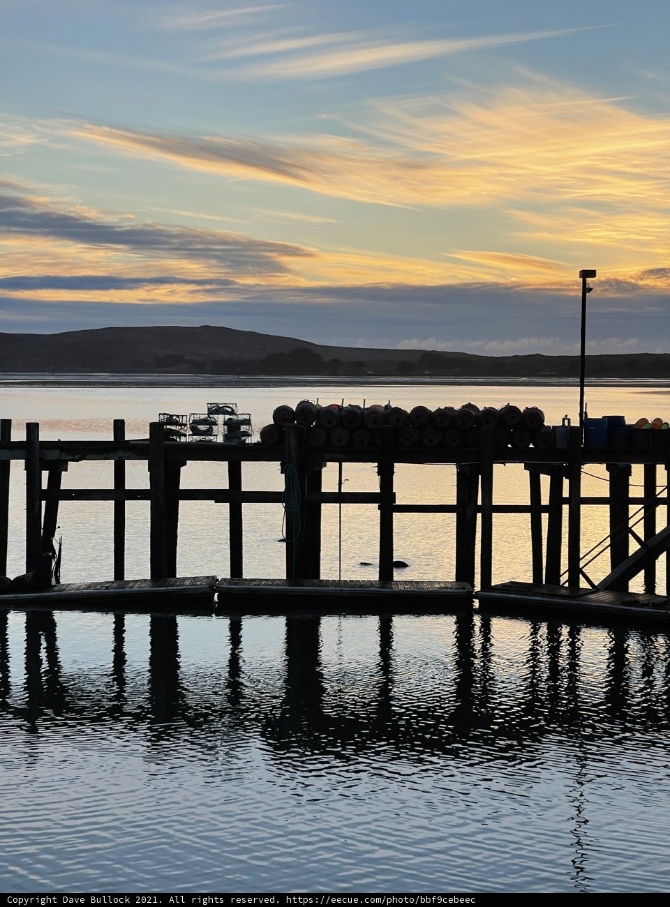 Sunset sail at Bodega Harbor