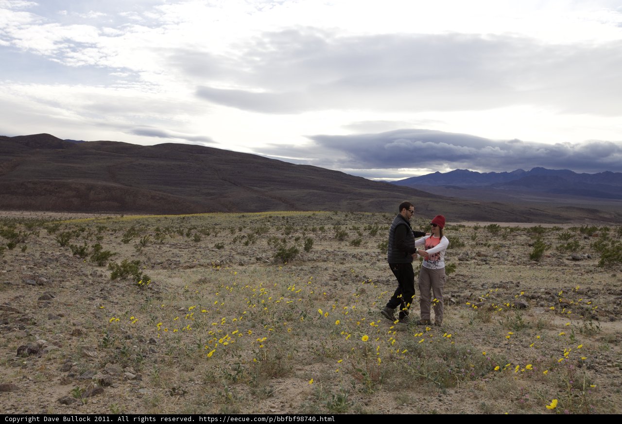 Love in the Wilderness