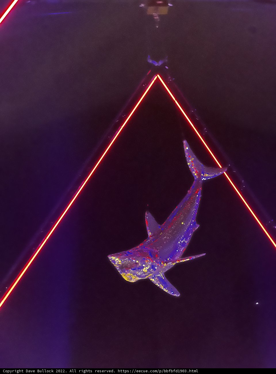Laser-Lit Shark in Suspension