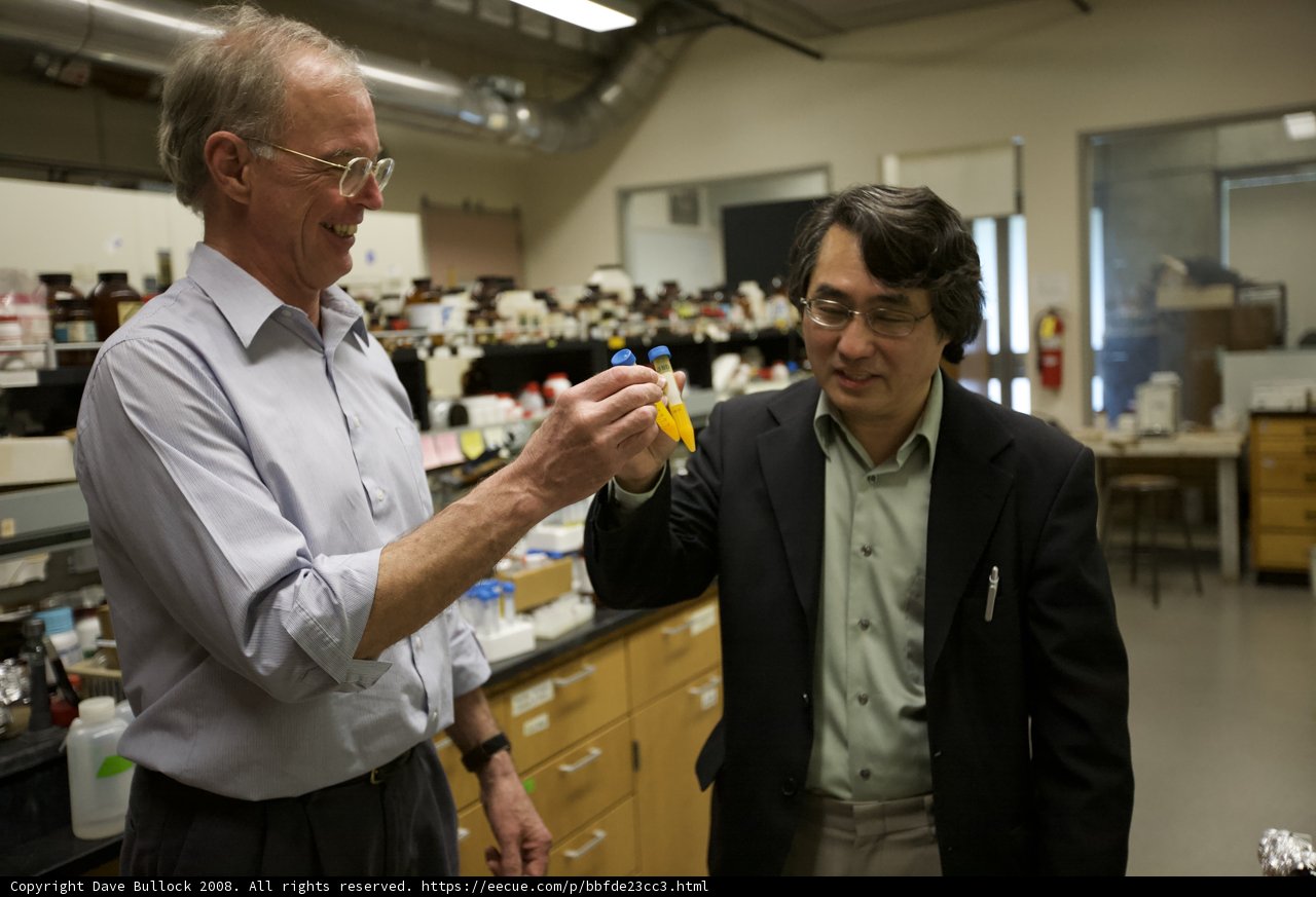 Two Scientists Examining a Yellow Object in a Laboratory