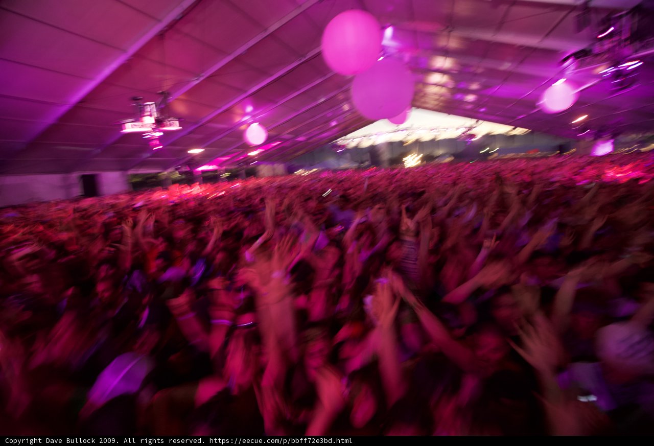 Purple Balloon Party
