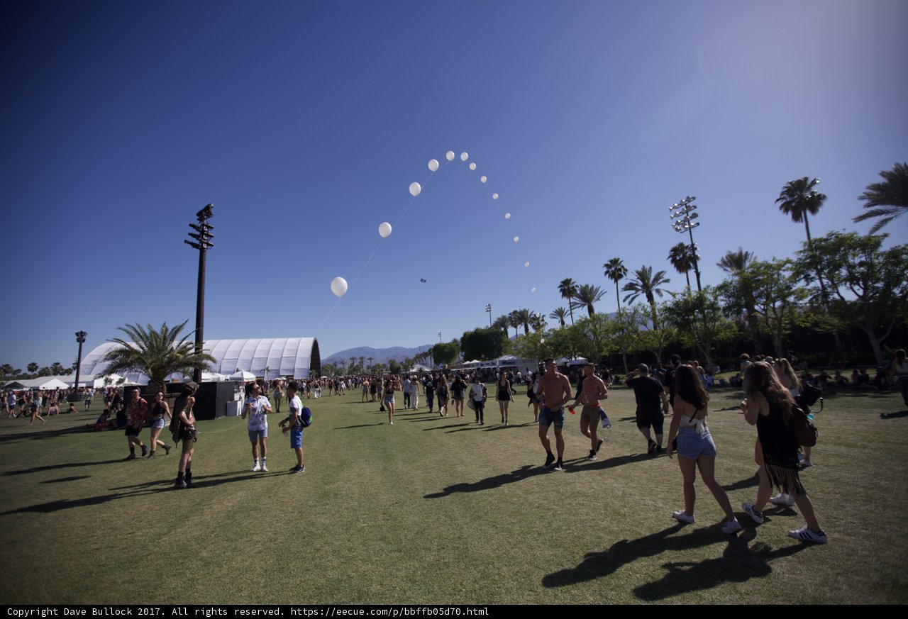 Balloon-filled Fun in the Sun