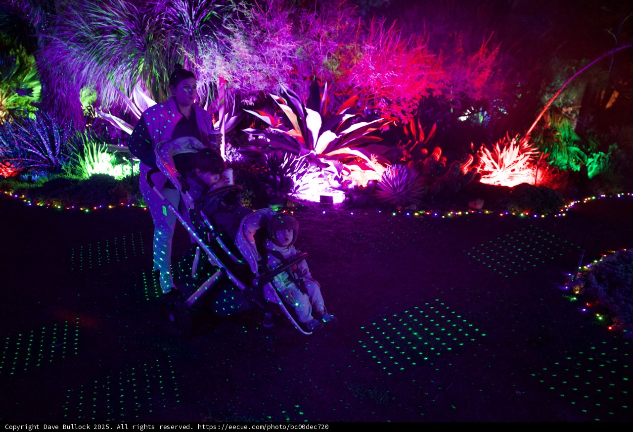 Enchanted Evenings at Garden of D'Lights