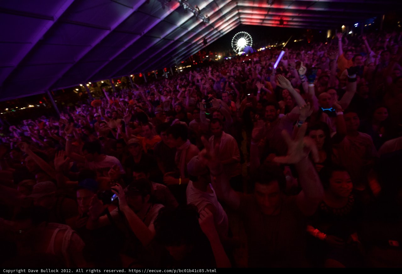 Hands Up at Coachella