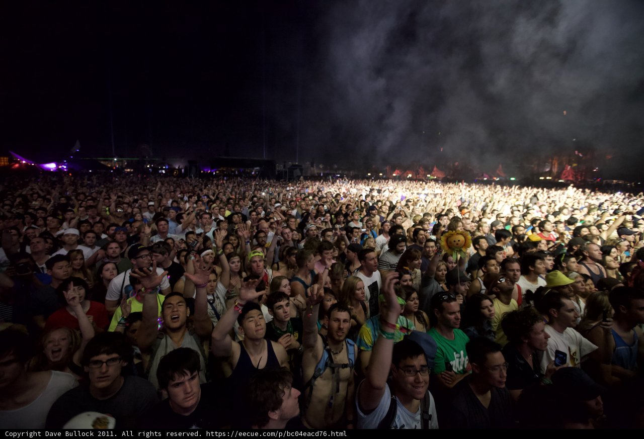 A Night Amongst the Crowd