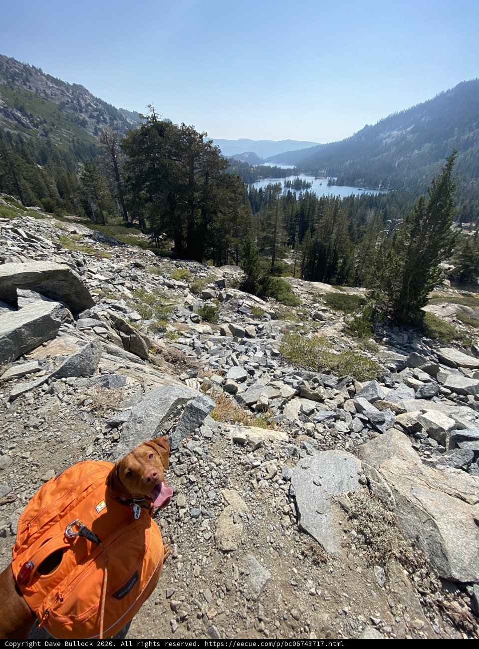 Trail Companion