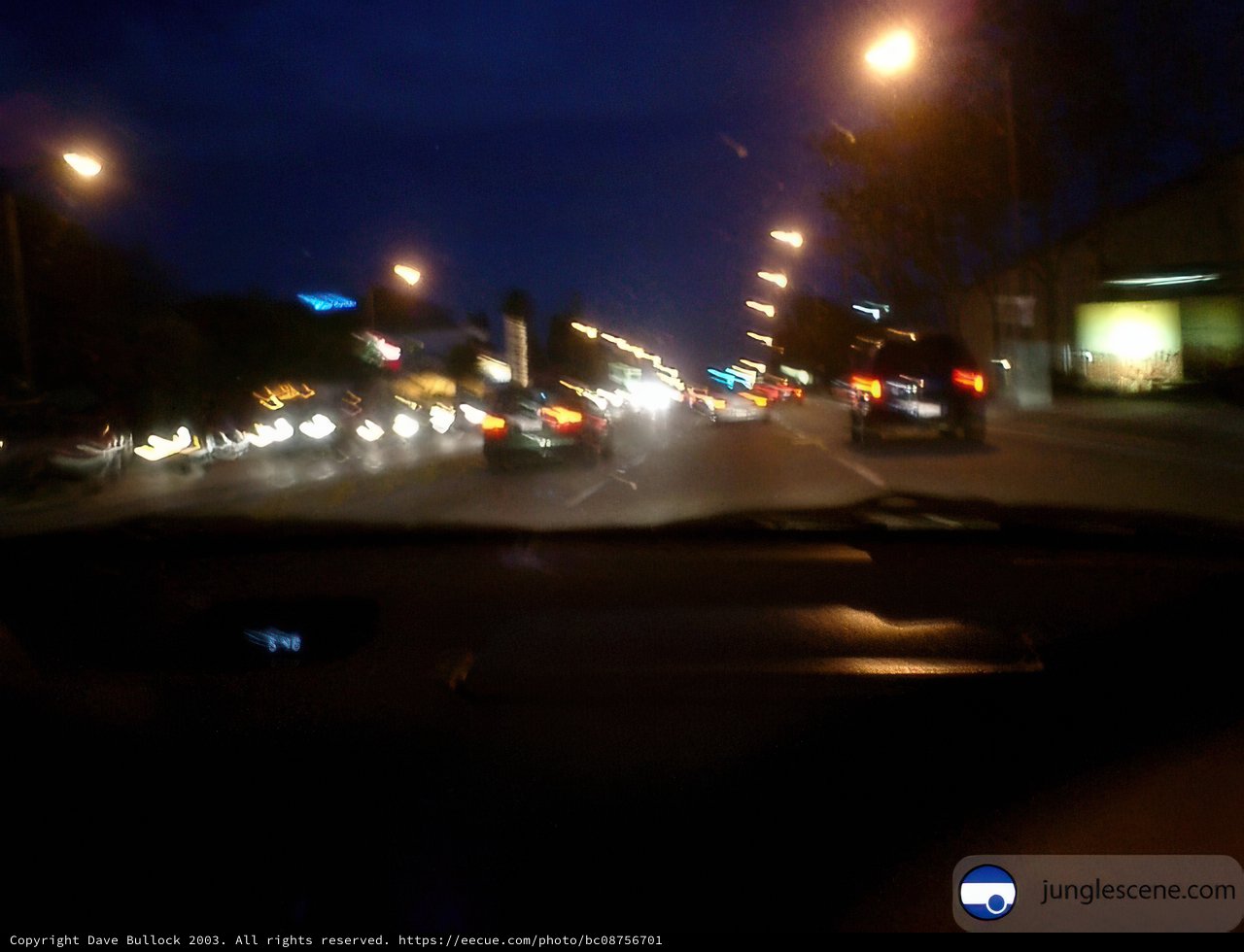 The Night Drive