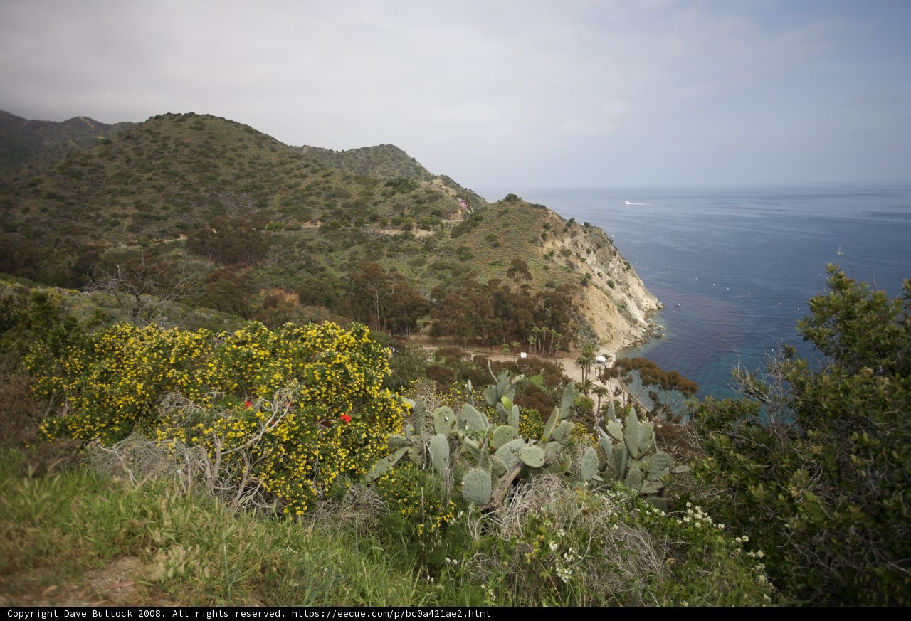 Promontory View