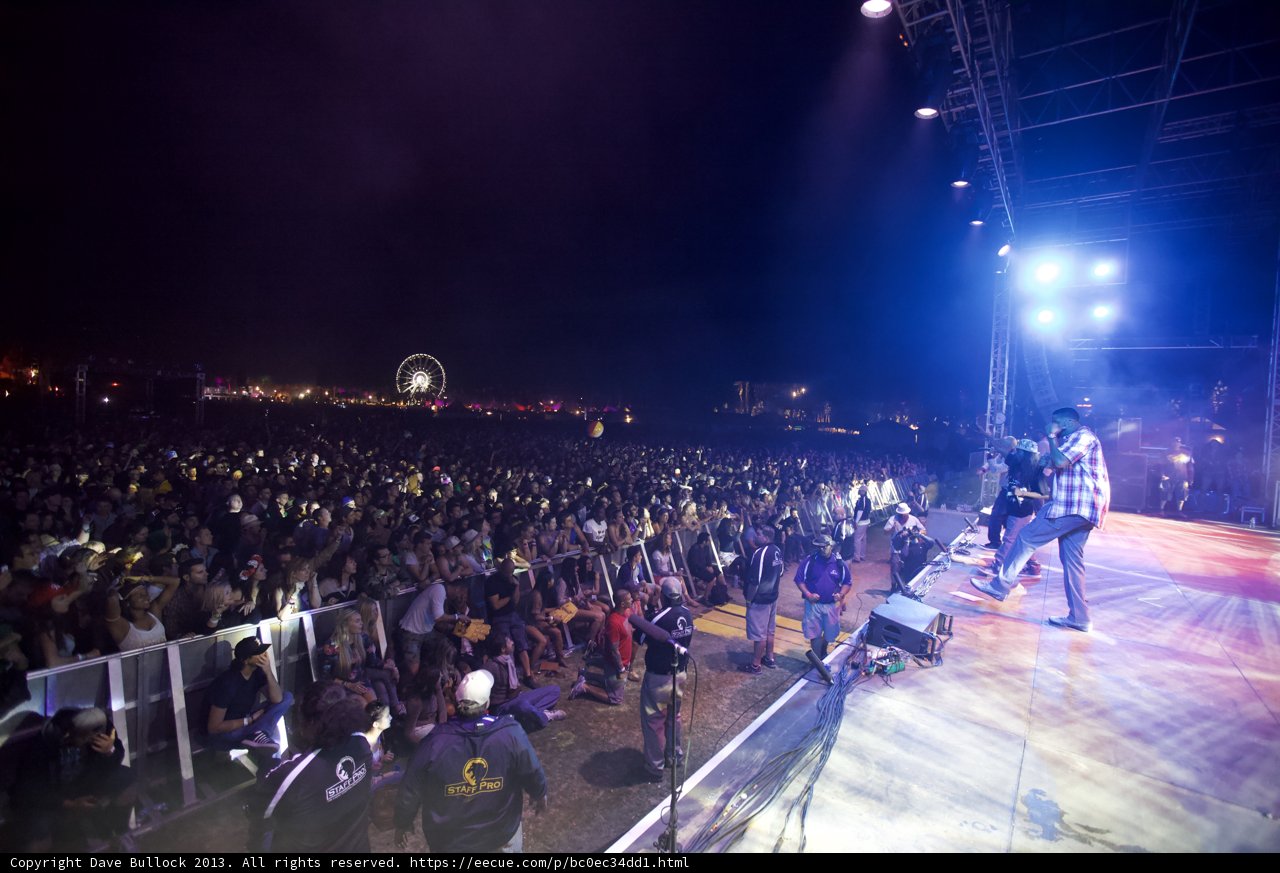 Concert Crowd under the Night Sky