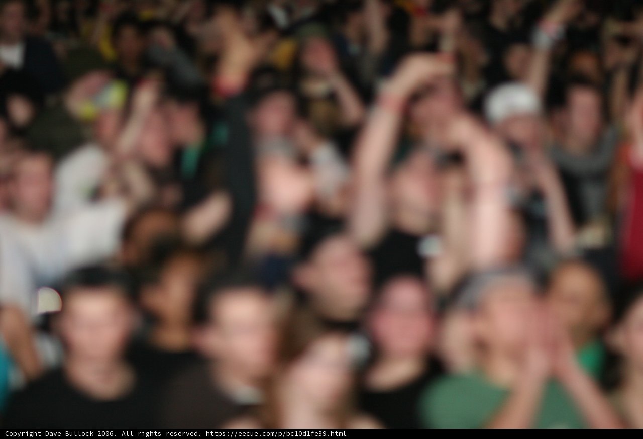 Rocking Out with the Crowd
