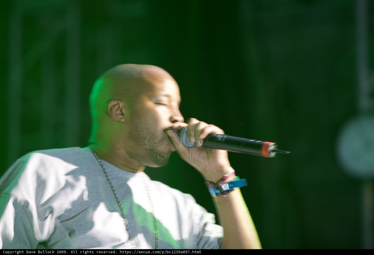 The Entertainer with a Microphone
