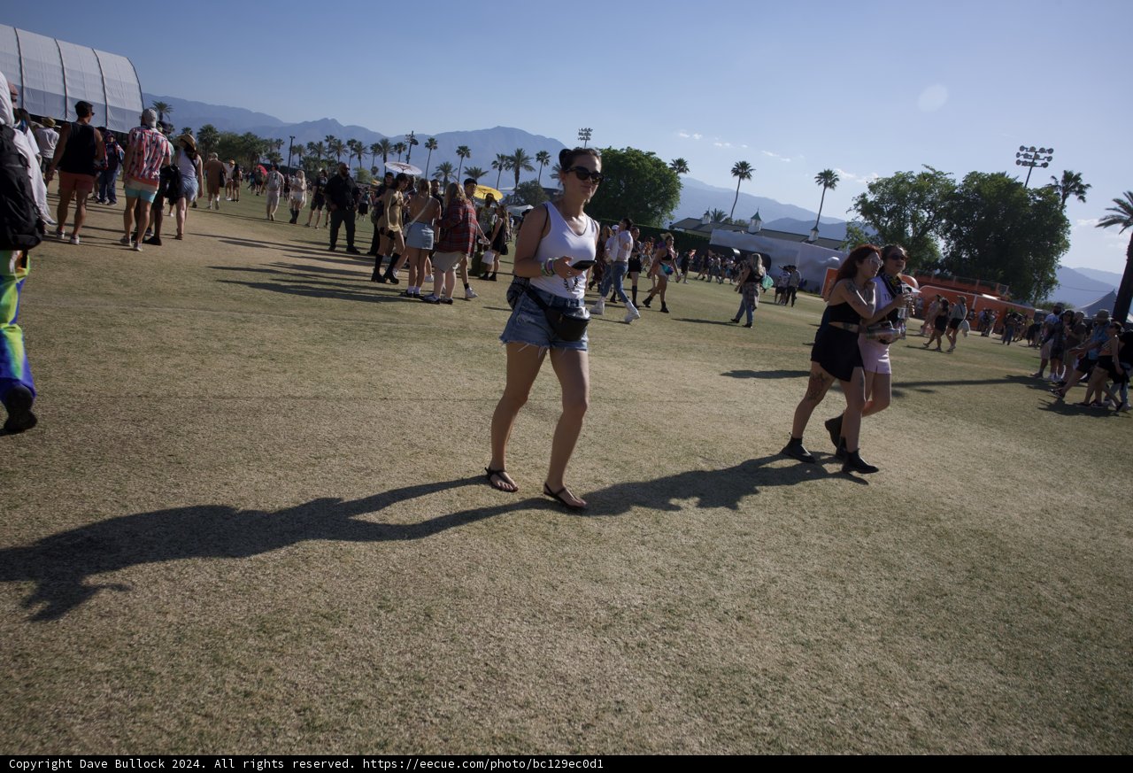 Vibrant Festive Moments at Coachella 2024