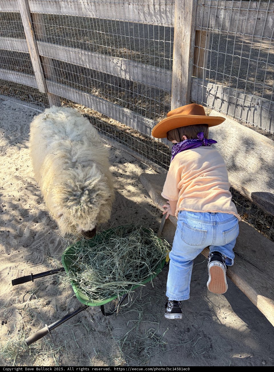 Country Adventures in Carmel Valley