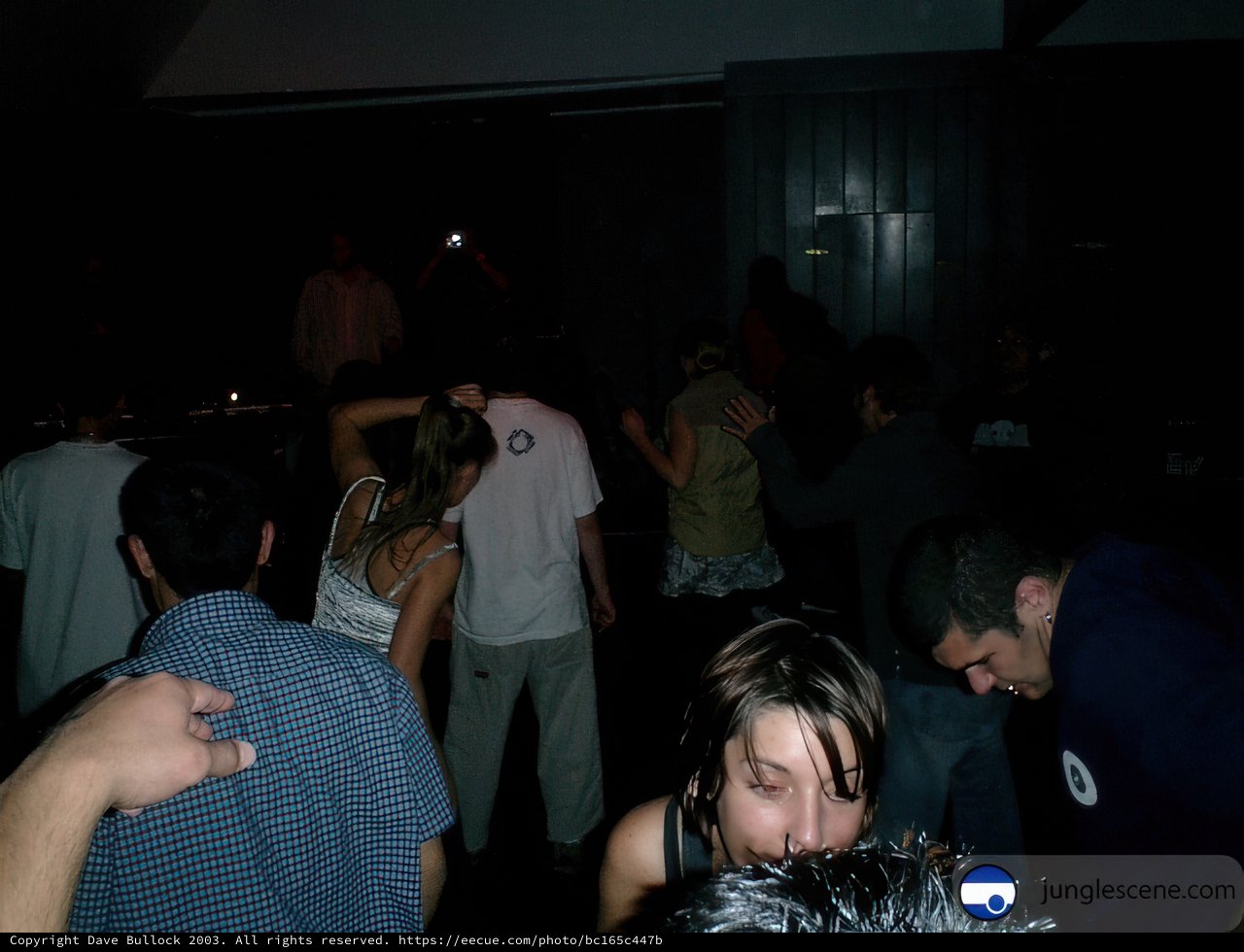 Nightclub Gathering