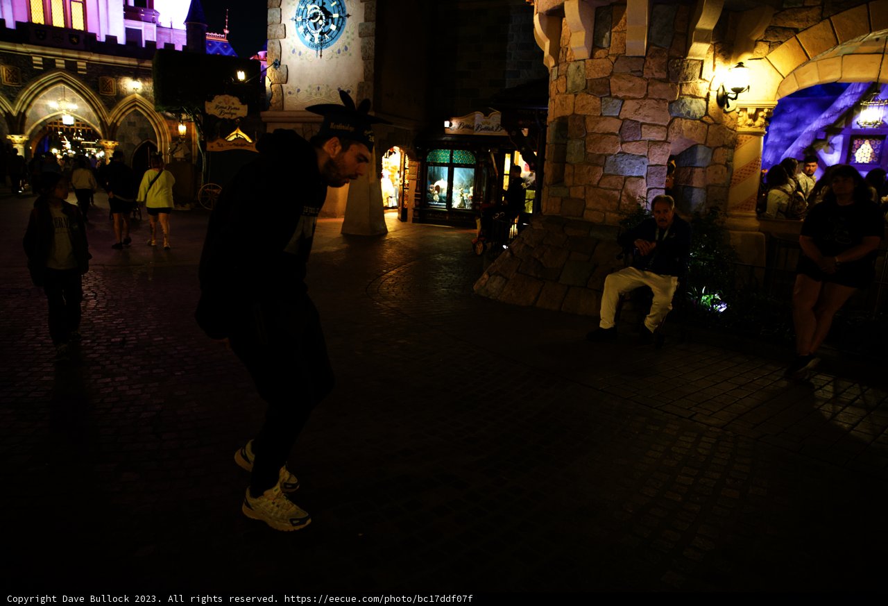 Magical Moonlight Dance at Disneyland