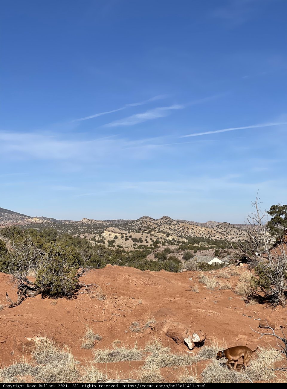 A Majestic View of the Desert from a Hilltop