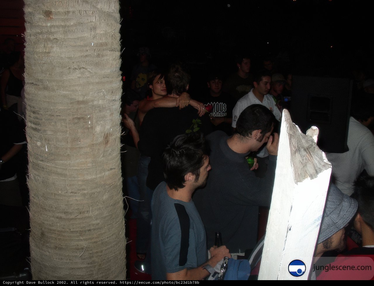 Palm Tree Gathering