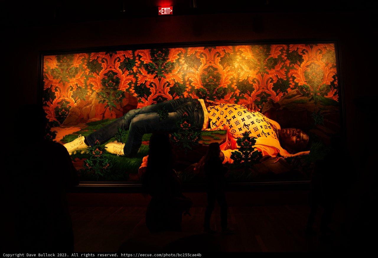 Art Lovers at de Young Museum, 2023