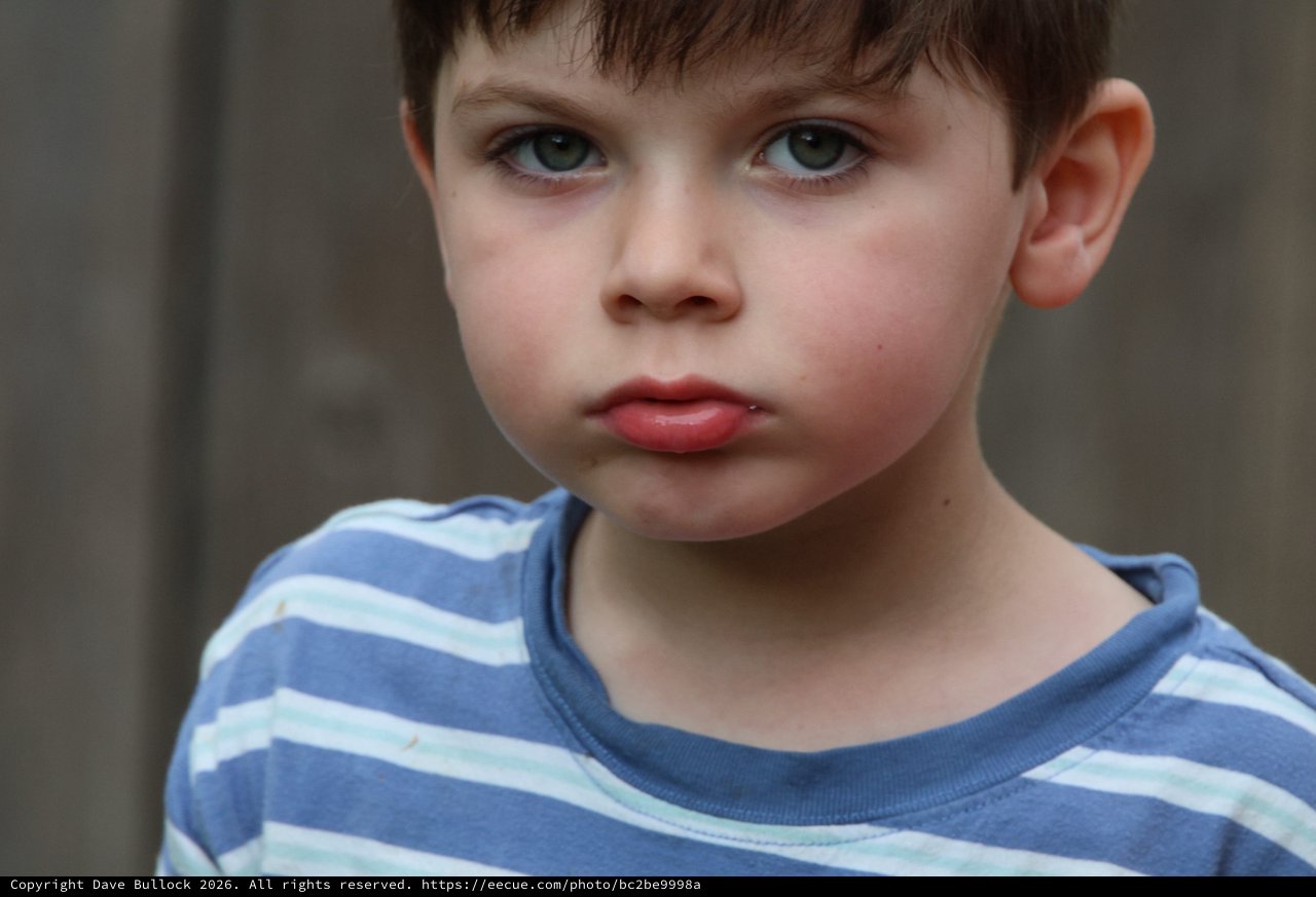 Young Boy in Blue Striped Shirt - Close Portrait