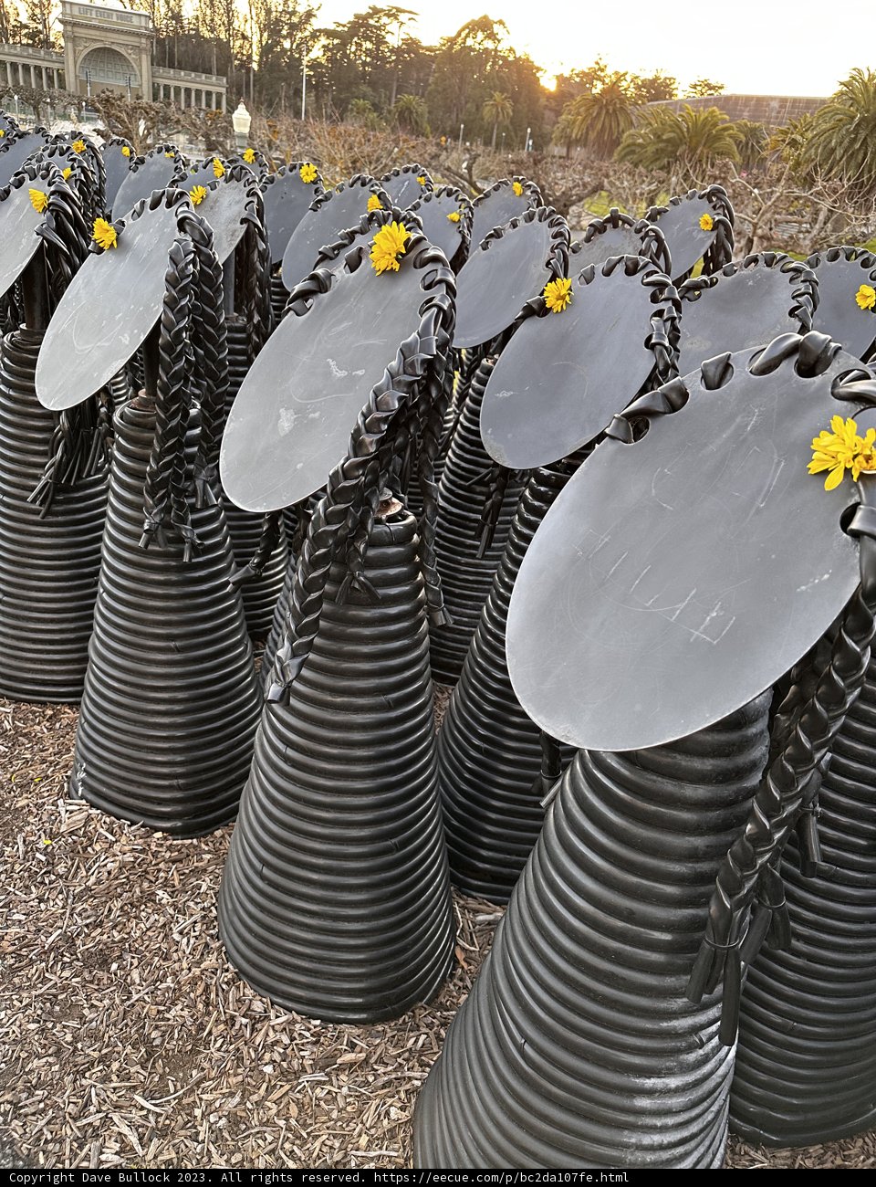 Spiral of Black and Yellow Flowers
