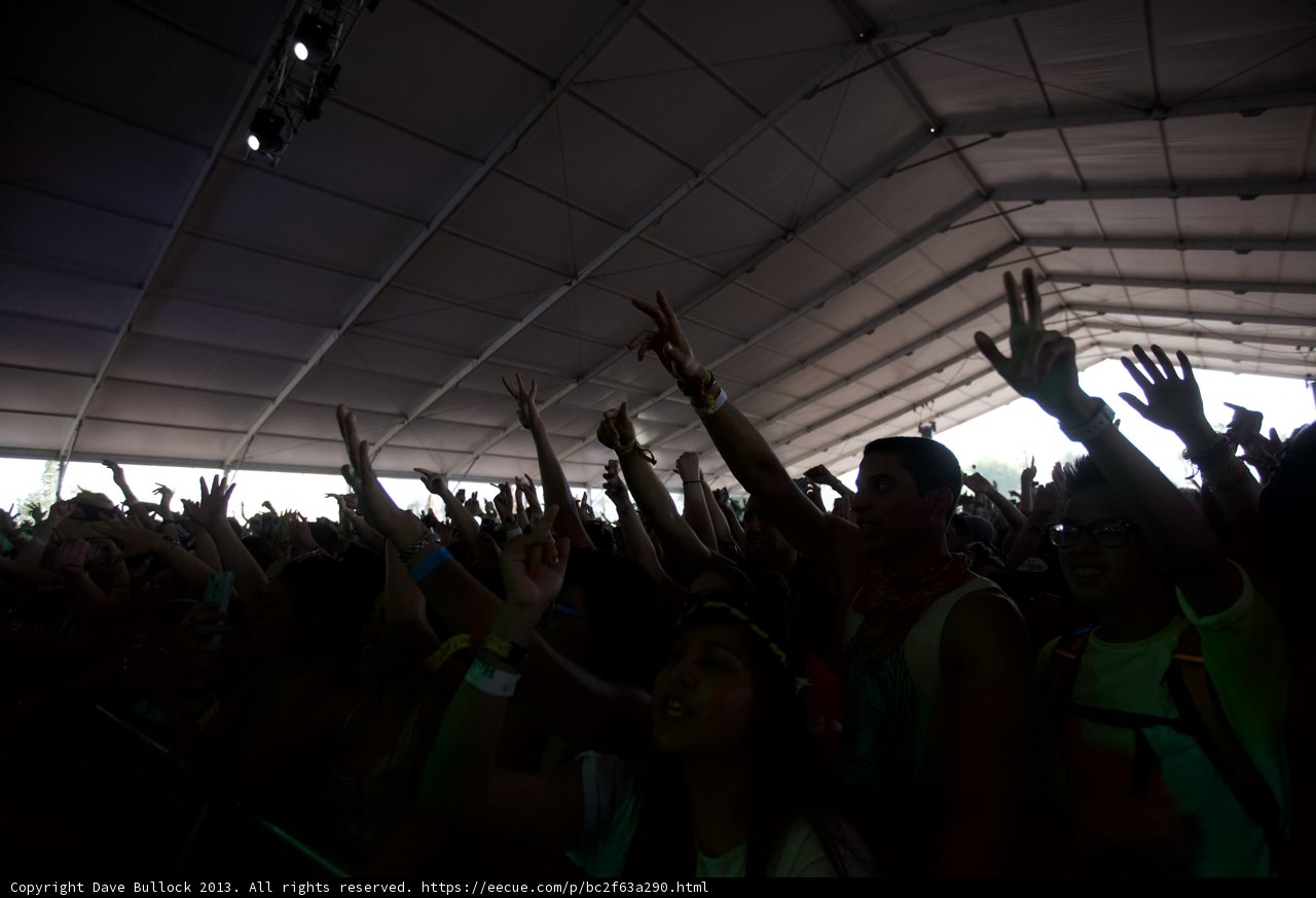 Music Fest Crowd Goes Wild!