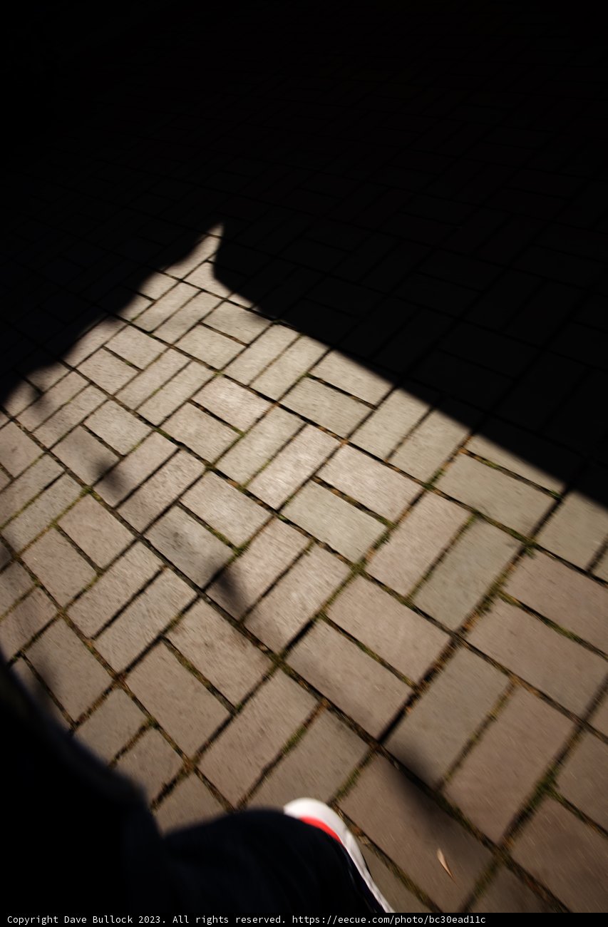 A Stroll on the Brick Path