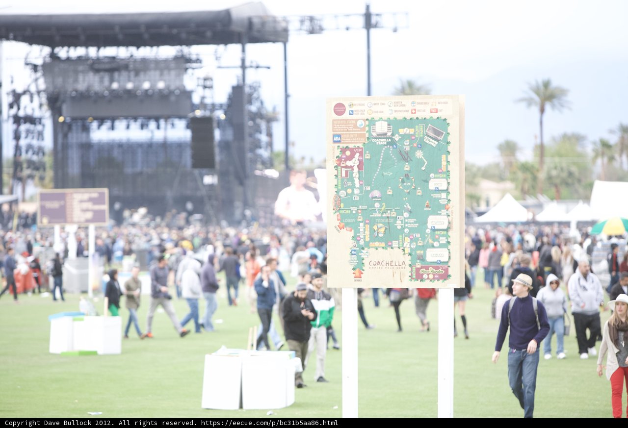 Festival Fun