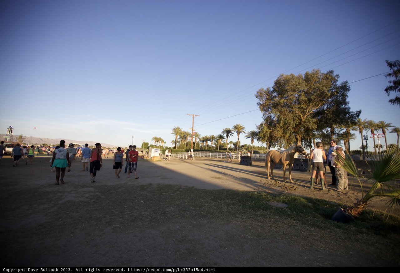 Walking with a Four-Legged Friend