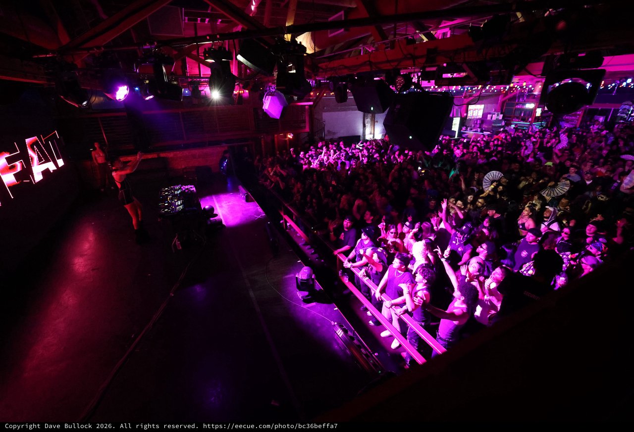 Massive Crowd Surges at Wobbleland 2026 Festival