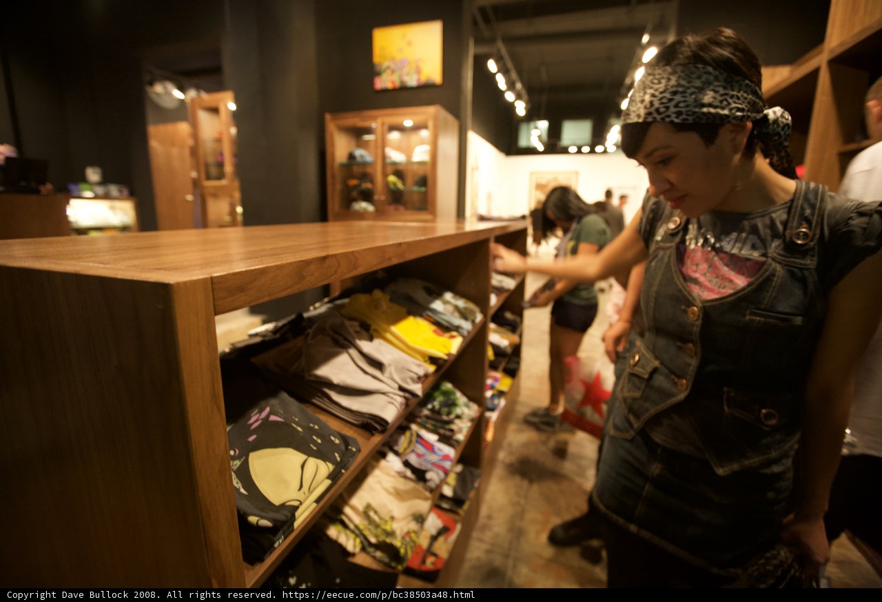 Shopping for Style