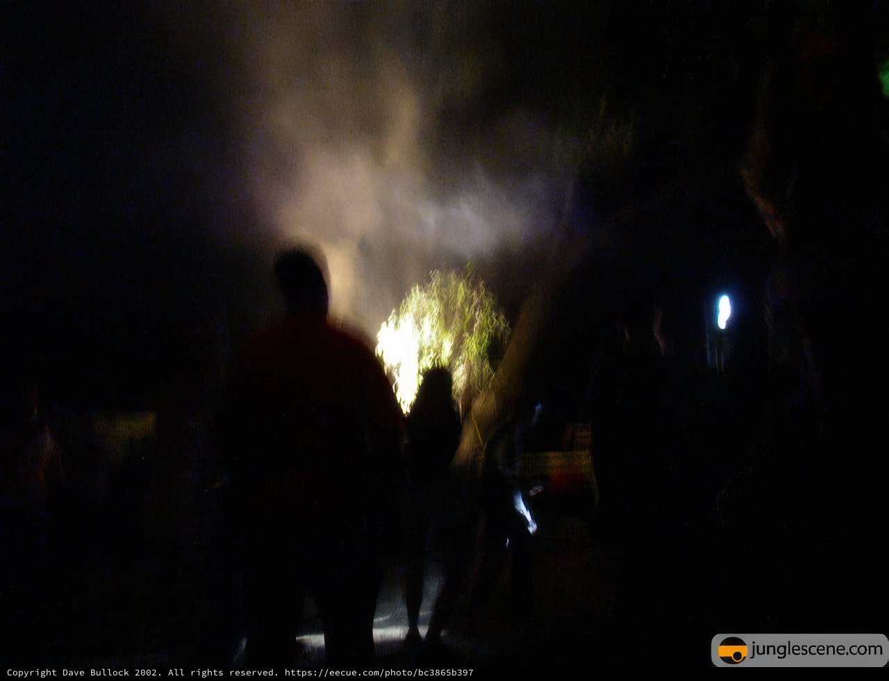 Nighttime Pyrotechnics by the Fire