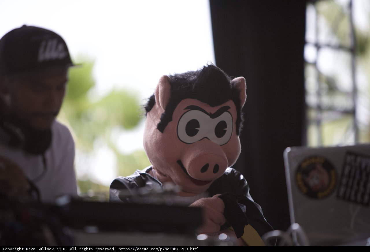 Piggy and the Beats