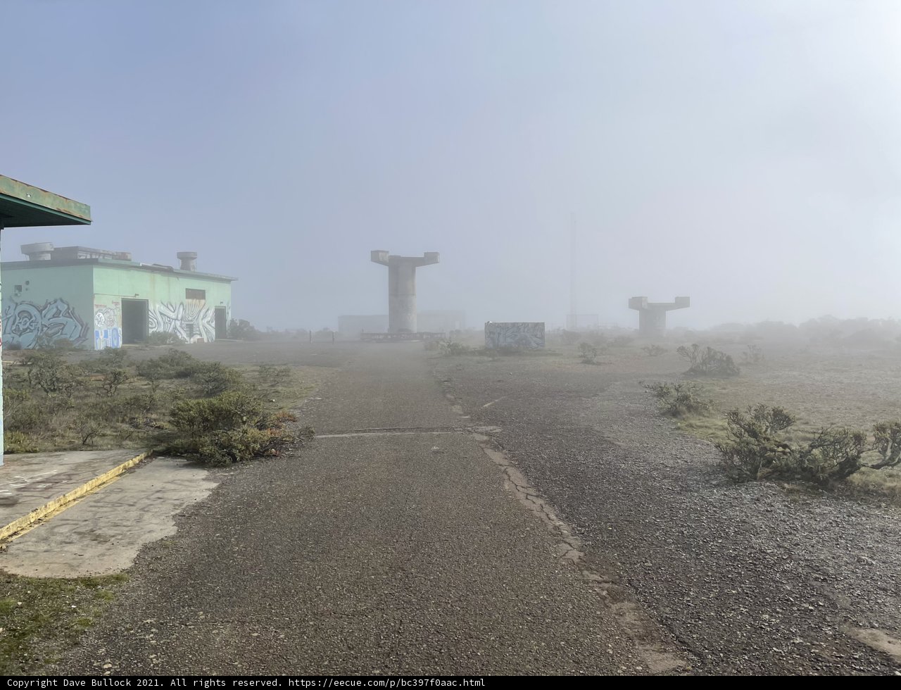 Foggy Pathway to Artistic Discoveries