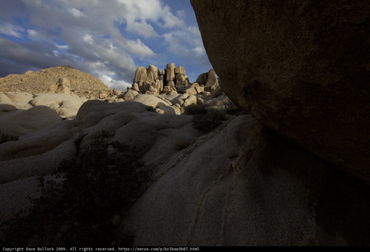 Scenic Views of Joshua Tree National Park