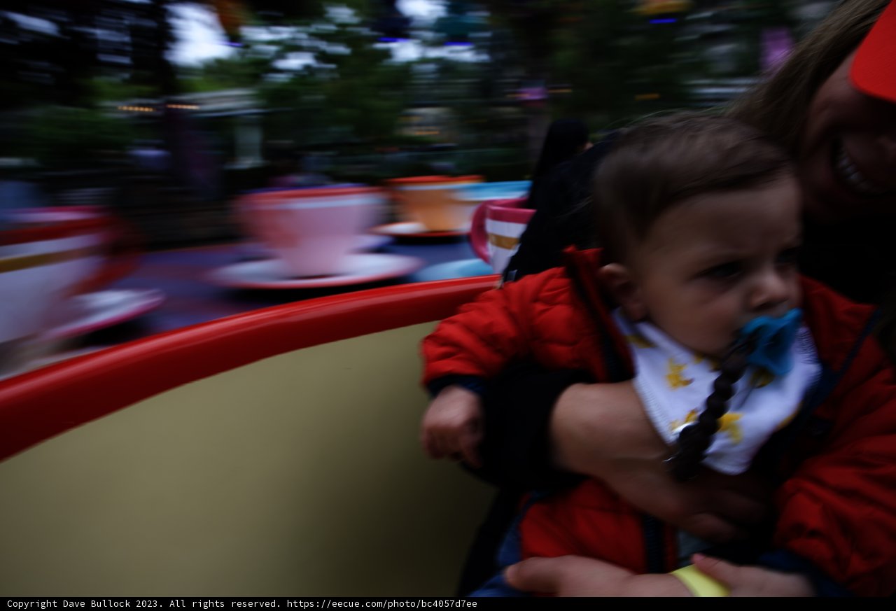 Magical Moments at Disneyland