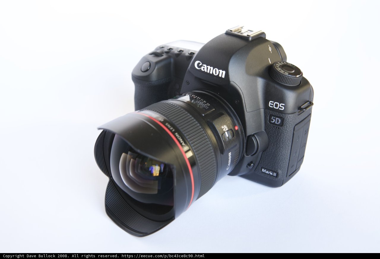 Canon EOS 5D Mark II: Capturing Memories in 2008