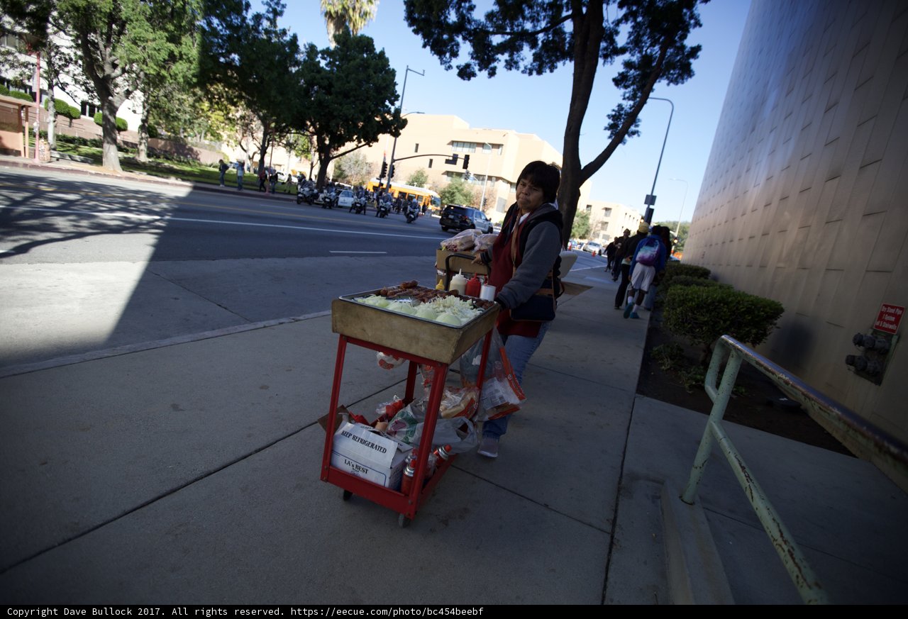 Woman and Teddy Bear Tackle the City