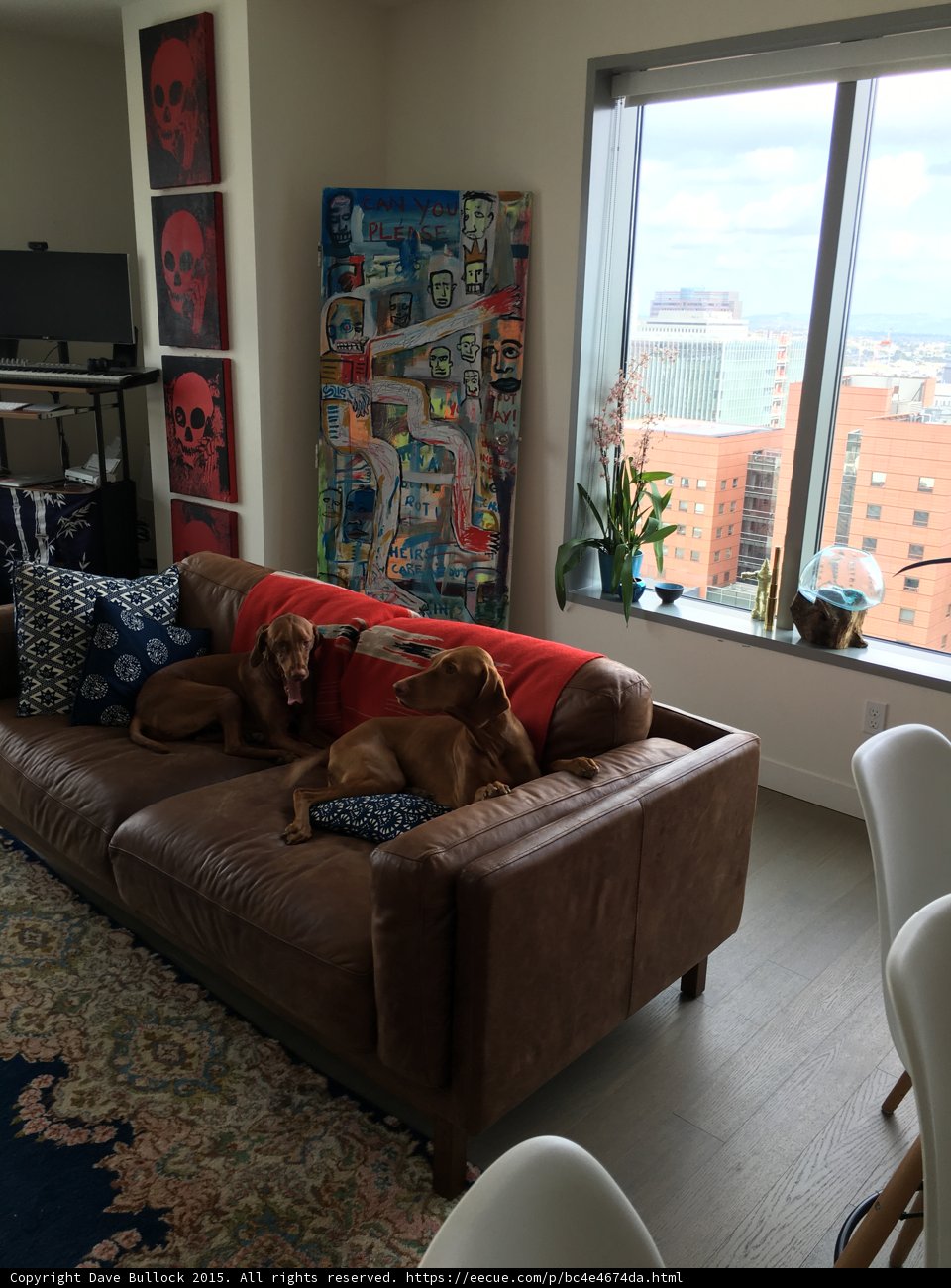 Cozy Brown Leather Couch in Living Room