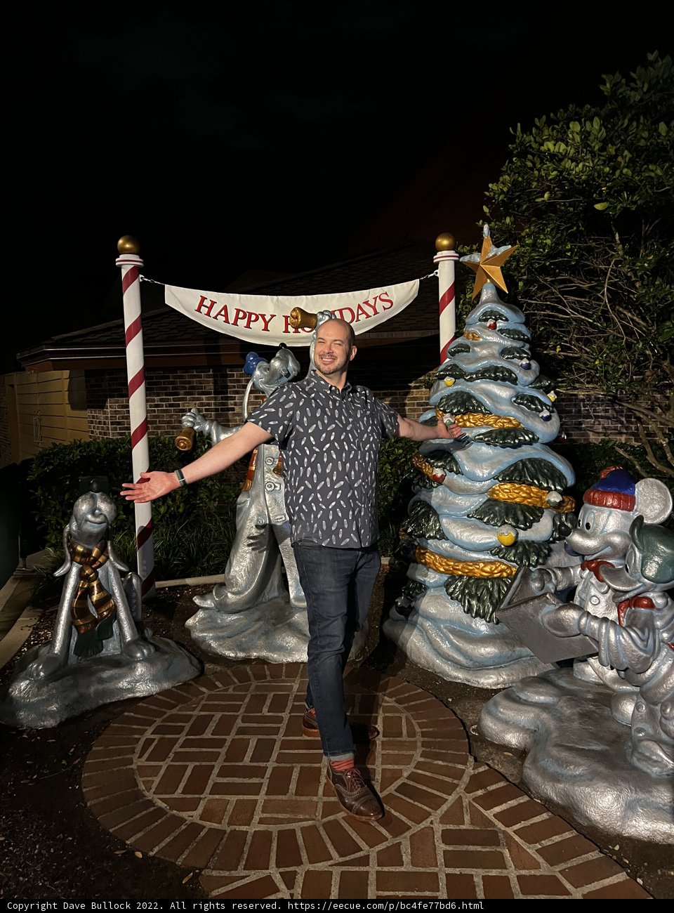 Festive Night at Disney Springs