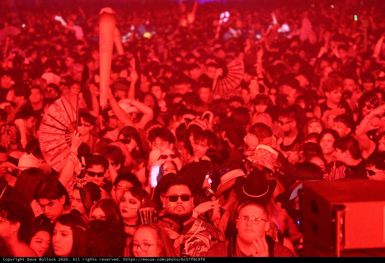 Sea of Red: Wobbleland 2026 Festival Crowd Ignites