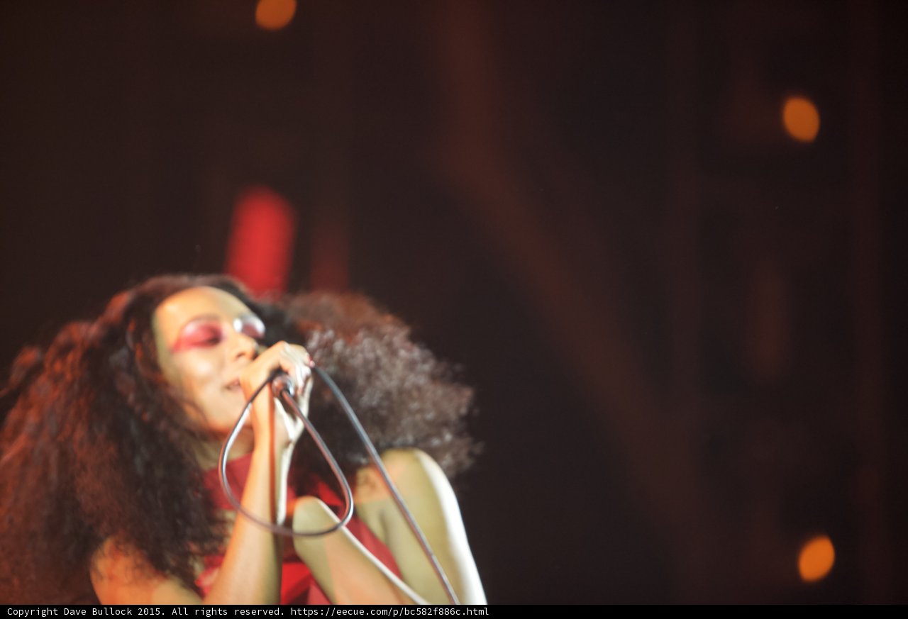 Solange Portrait Eyes Closed Wild Hair Dark Orange Bokeh