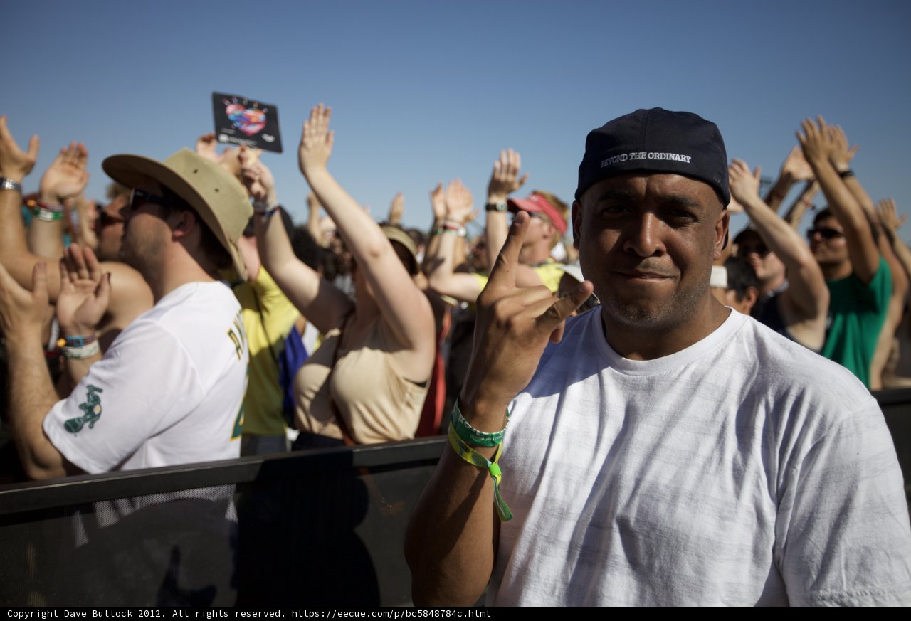 Leader of the Crowd