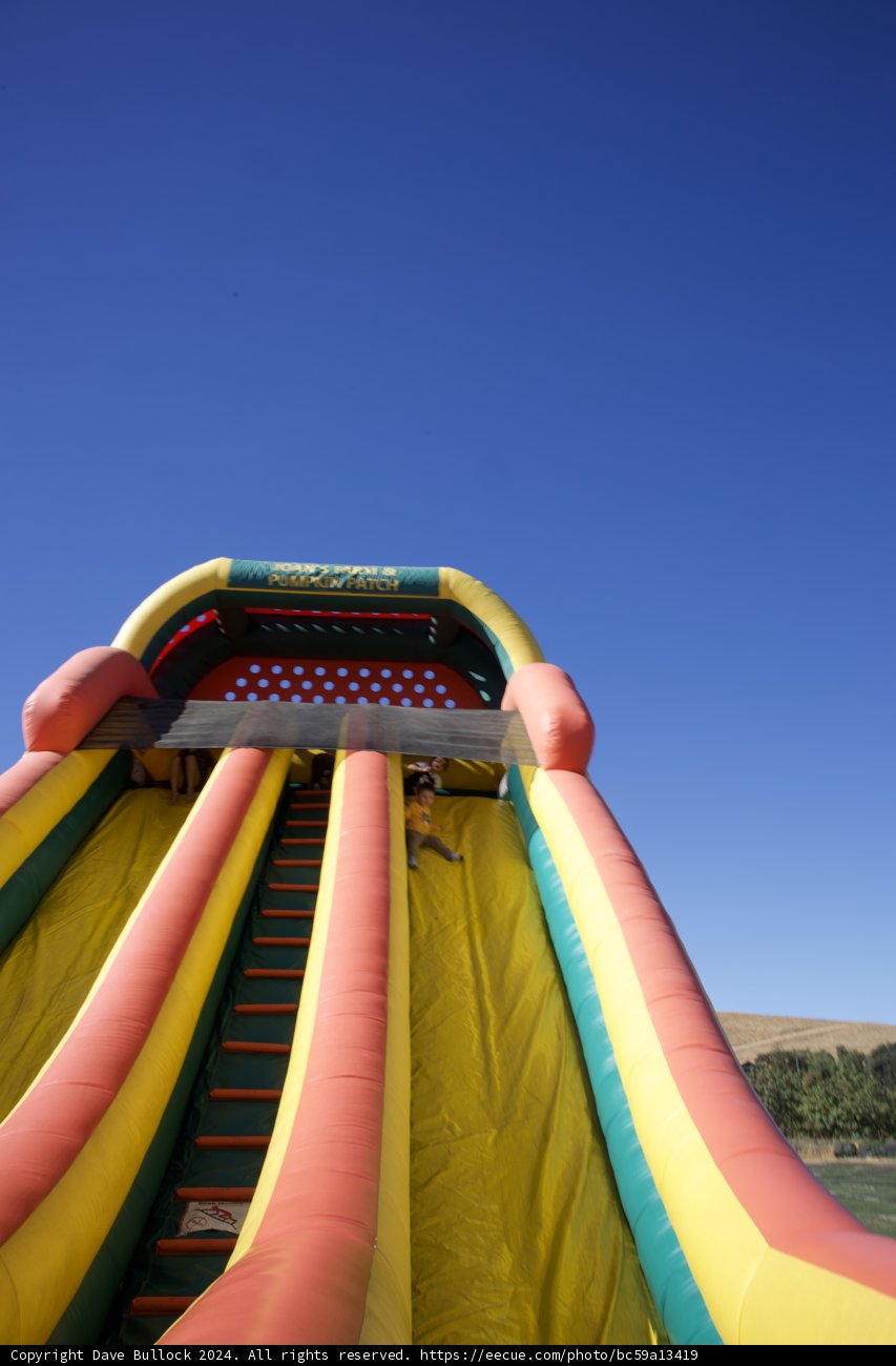 Joyful Ride on a Sunny Slide