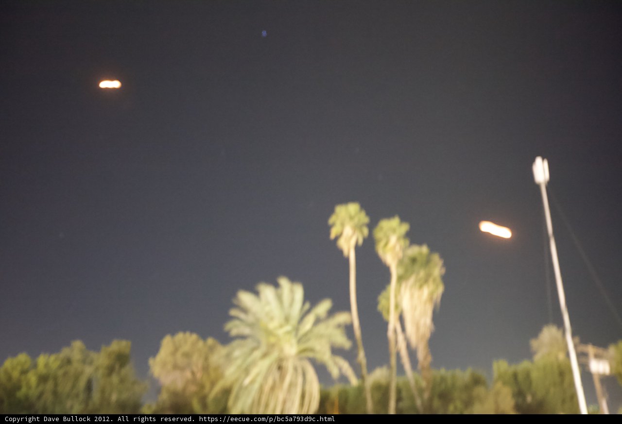 Flight Above the Palm Trees