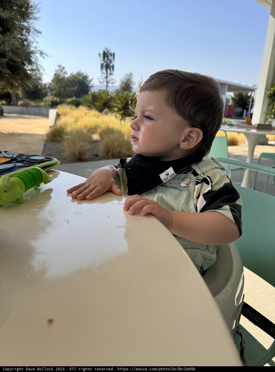 Summer Meal under the California Sun