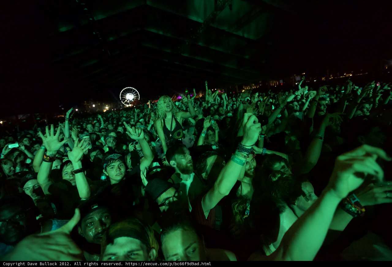 The Ultimate Party Crowd