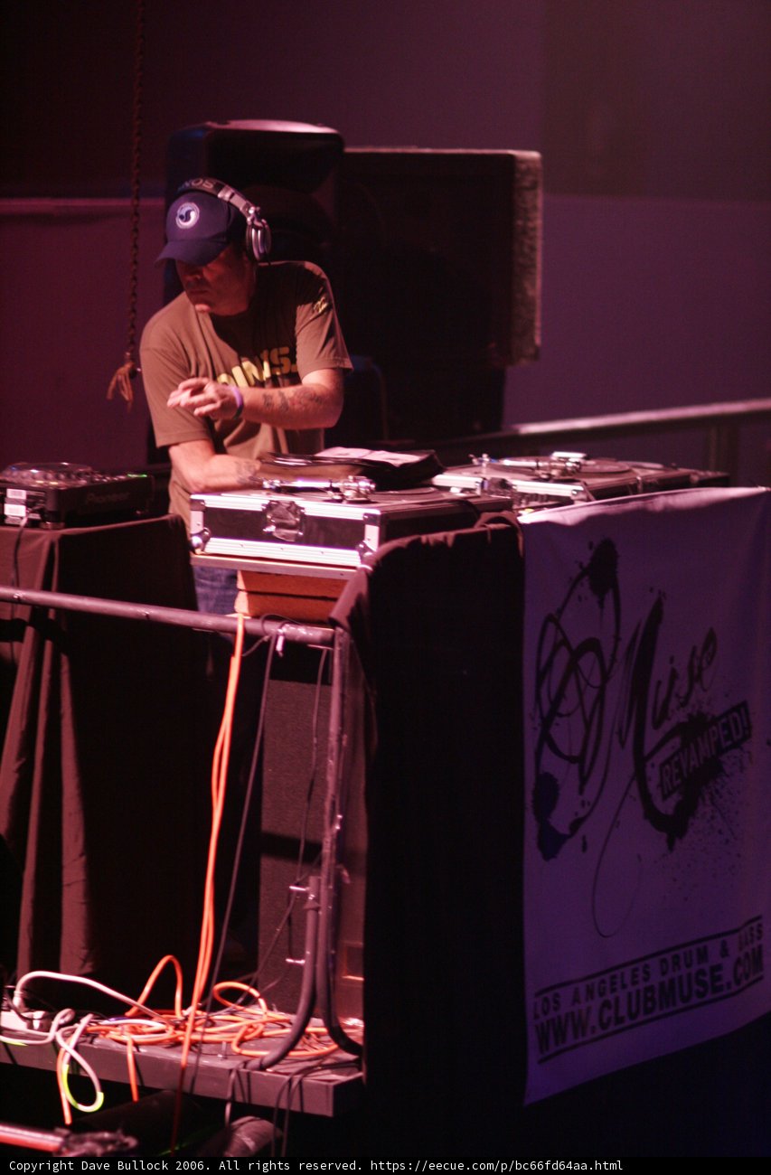 Grooving the Crowd
