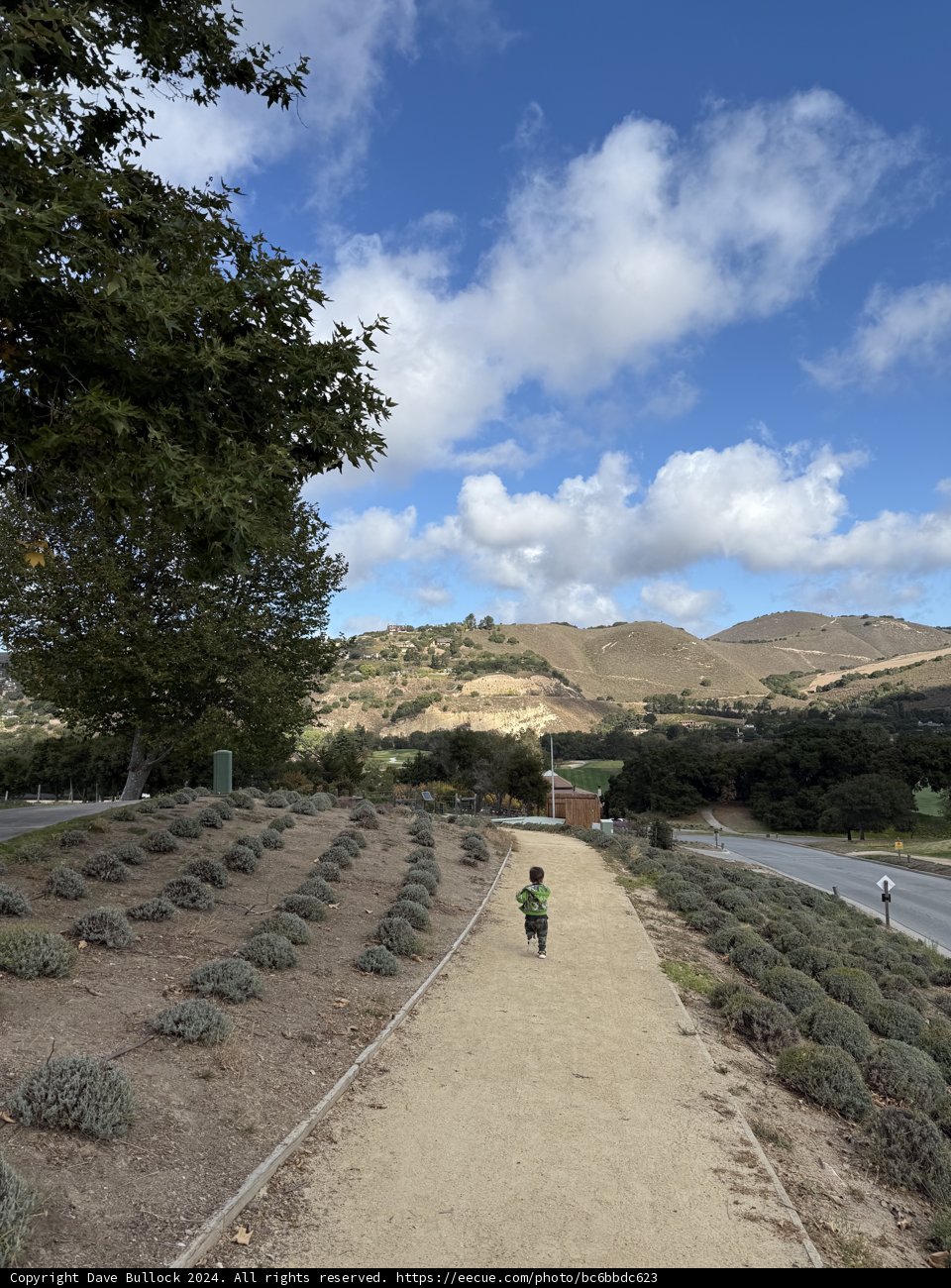 Stroll Through Carmel