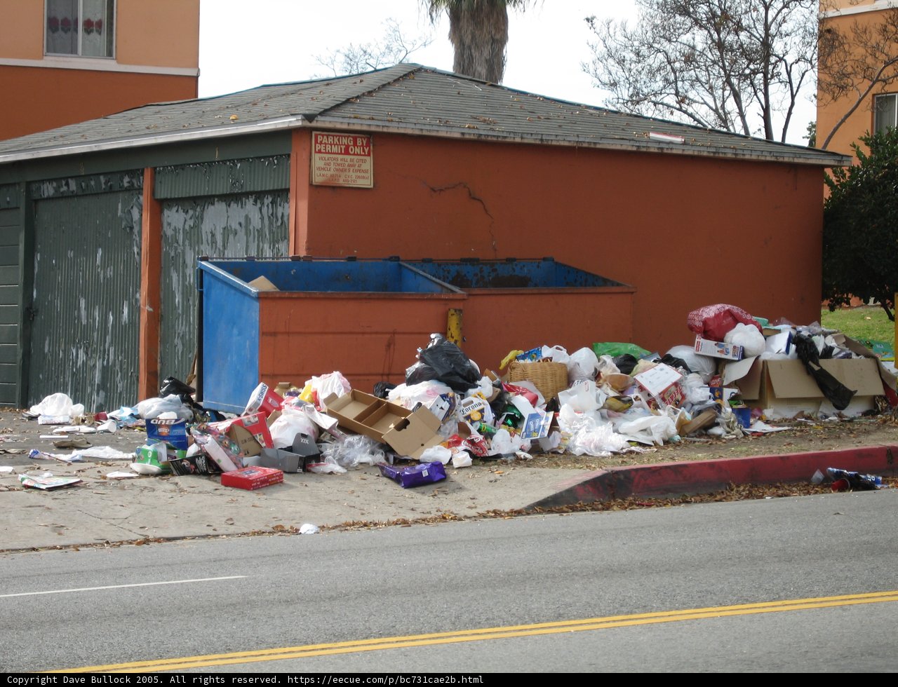 Trash Pile on the Road