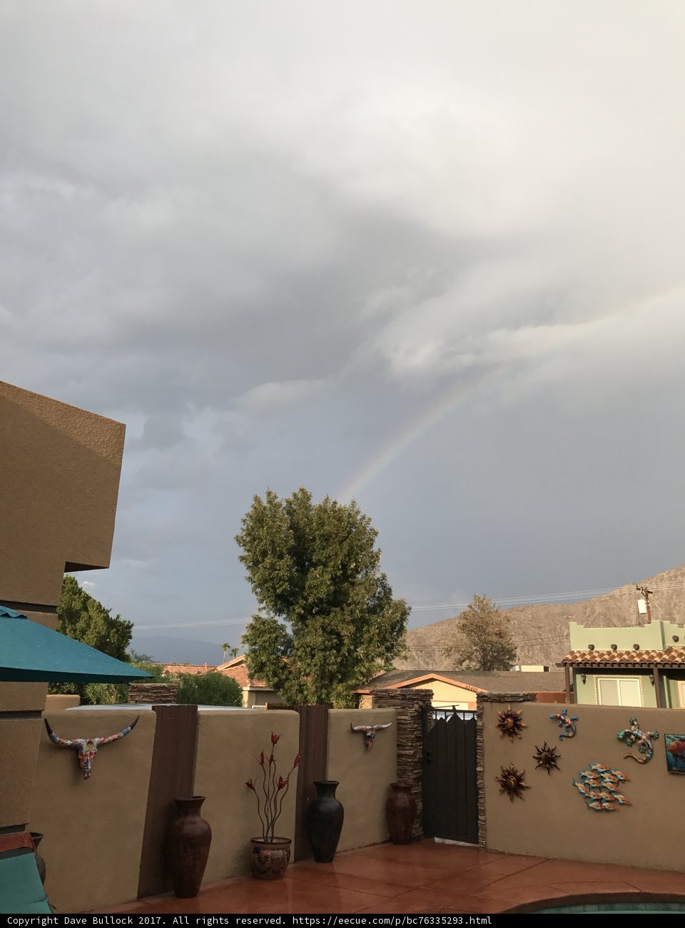 Rainbow Oasis